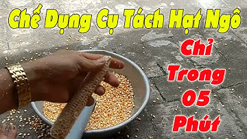 Hướng Dẫn Làm Dụng Cụ Tách Hạt Ngô (Bắp) Chưa Đầy 5 Phút - Hữu Ích Cho Nhà Nông - 92 Vlog
