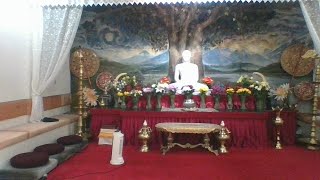 Evening Buddha Puja And Pirith Chanting  May You All Be Well And Happy