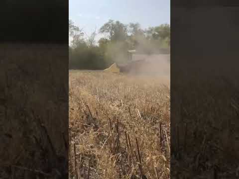В Безенчукском районе