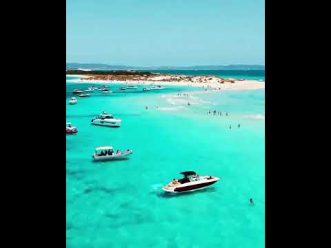 Summer in Ibiza