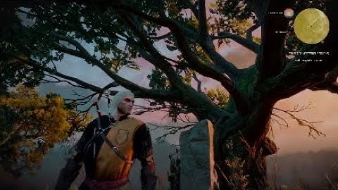 The Witcher 3 Wild Hunt - Mysterious Tracks