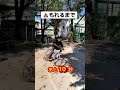 終了 みんなもこんな経験あるよね Ww トイレ 自転車 双子 Shorts 終了 みんなもこんな経験あるよね Ww トイレ 自転車 双子 Shorts