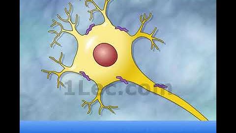 Prion