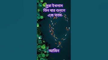 সুরা ইখলাস/sura ikhlas/سورة الإخلاص/ কুলহু আল্লাহু আহাদ / #ইসলামিক_ভিডিও