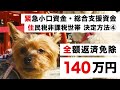 【3月末まで延長】緊急小口資金・総合支援資金 特例貸付 最新情報など④住民税非課税世帯の決定方法【最大140万円・全額返済免除の落とし穴３選】来年の確定申告、社会福祉協議会への償還免除
