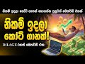 නිකම් ඉදලා කෝටි ගානක් හොයන්න පුලුවන් මෙතර්ඩ් එකක් | Crypto Passive Income Sinhala 2026