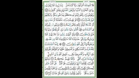 سورة التوبة الصفحة ١٩٦