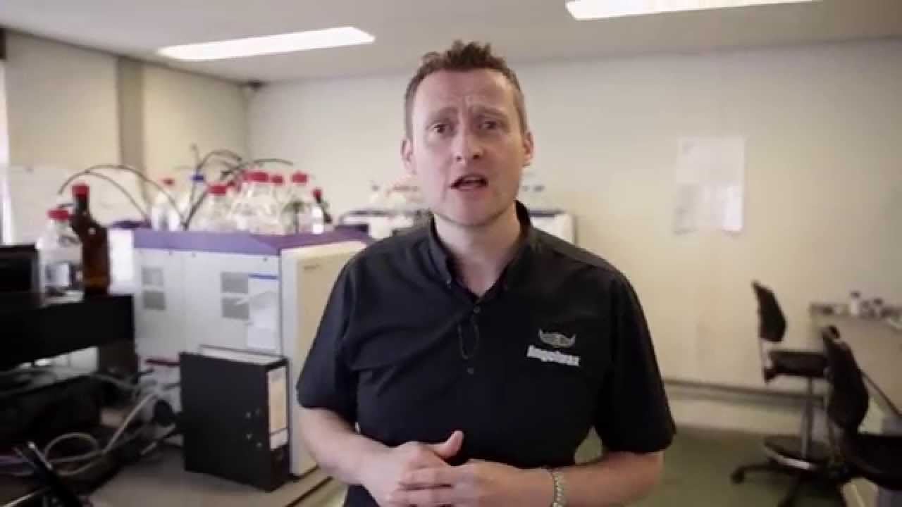 ANGELWAX - COMPANY INTRODUCTION - EAN 8718858750000