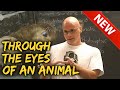 Through the Eyes of an Animal | A Lecture by Gary Yourofsky