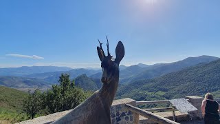 PICOS DE EUROPA.....POTES to the deer and the bear ..... ( SPAIN )