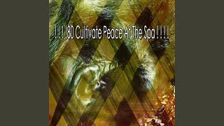 Newfound Peace