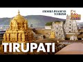 Tirupati balaji temple  the worlds richest temple  andhra pradesh  mm travel guide  thirupathi