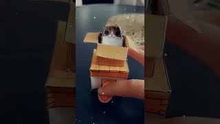 Cute...cat in a box #diycrafts #cute #art @TinyCraftWorld Tubby Paws