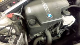 N20 timing chain noise