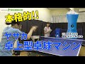 【コスパ良】本格的卓球マシンをあおちゃんと試してみました#ヤサカ #卓球
