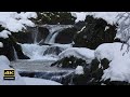 4K映像 + 自然環境音 雪景色と水の音 鳥の声 自然音でリラックス