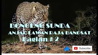 Dongeng Sunda ANJAR LAWAN RAJA BANGSAT #2