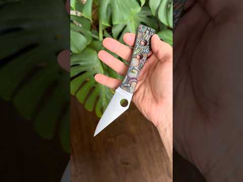 Spyderco Watu S30V 80s Camo Carbon Fiber Karbidize Compression Liner  Knife Sal Glesser Ethnic