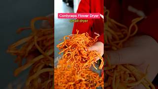 #Dryer #CordycepsFlowerDryer #VegetableDryer #CuredMeatDryer #SausageDryer
