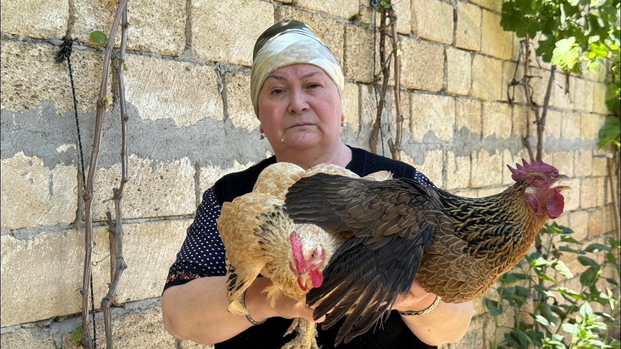 Həyətimizdə Saxlayıb Böyütdüyümüz Toyuqlardan Ləzzətli Yemək Bişirdik.