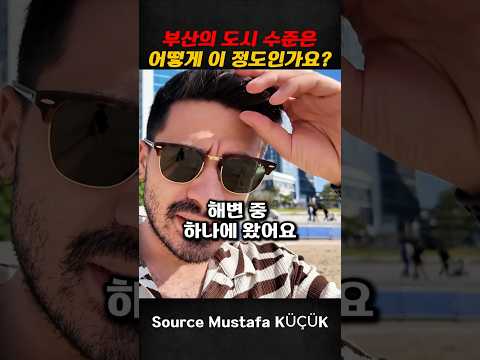 부산의 도시 수준은 어떻게 이 정도인가요? thumbnail