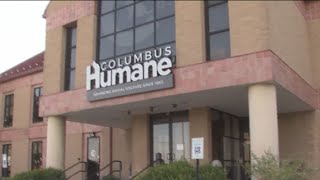 Columbus Humane full after nearly 300 animals seized during animal abuse investigation