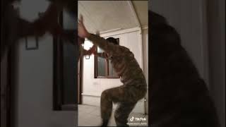 Şəhid Etibar Həsənov Döyüş Qabağı Çəkilən Video.2