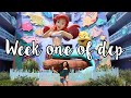 WEEK ONE/ TRADITIONS | DCP Vlog ✽