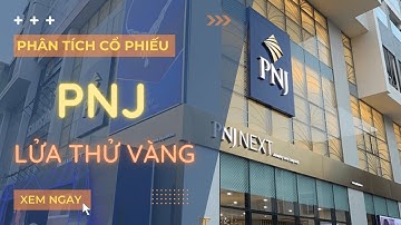 [Phân tích cổ phiếu] PNJ - Lửa Thử Vàng !?