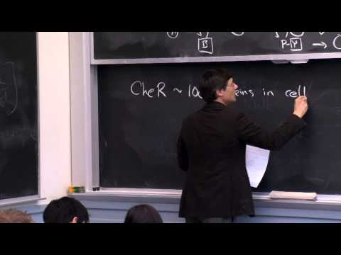 MIT: Robustness and Bacterial Chemotaxis