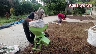 Penggiling Kopi Basah Auto cepat Kering efisien waktu Jemur #kopi#agustyotyo#robusta#kopiindonesia