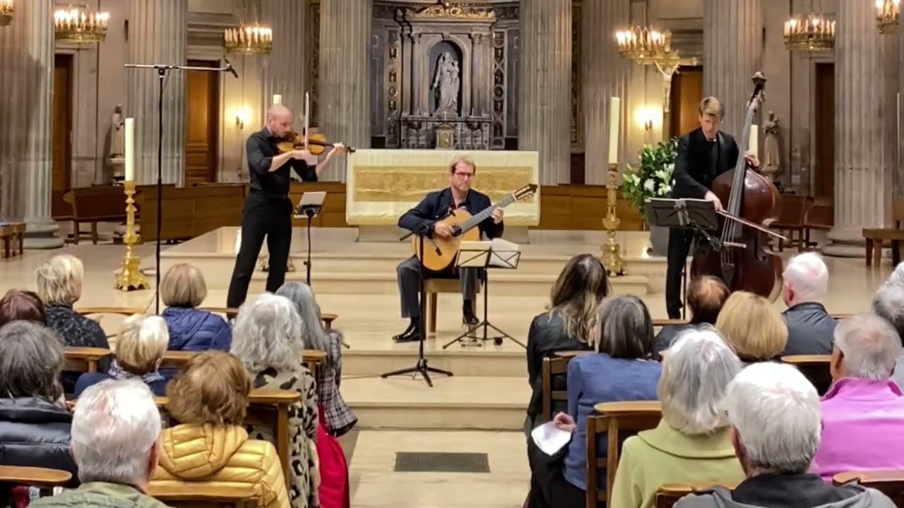 Antonio Vivaldi - Lute Concerto in D major RV 93 - 1st mvt - Allegro - Ludovic Michel, guitar