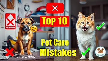 Top 10 Common Pet Care Mistakes to Avoid