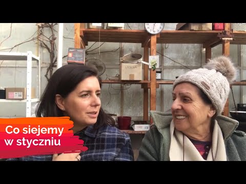 Wideo: Wysiew Kwiatów W Styczniu