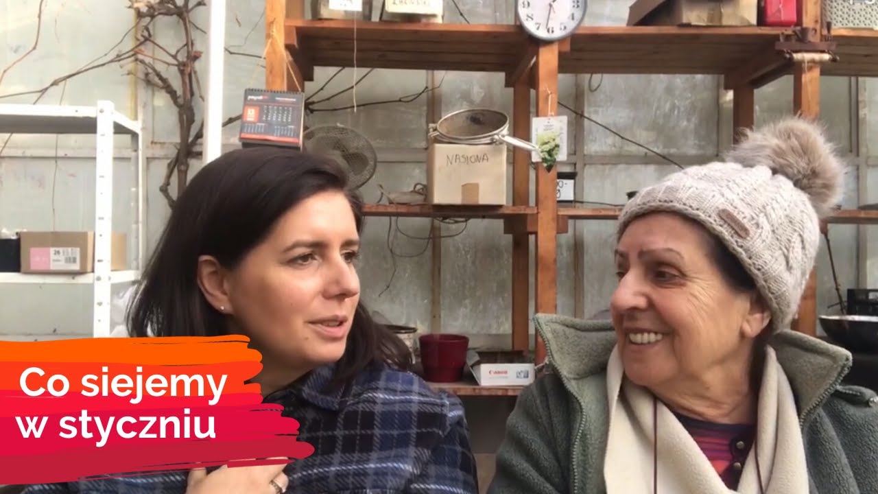 Co siejemy w styczniu i w lutym - wysiew nasion