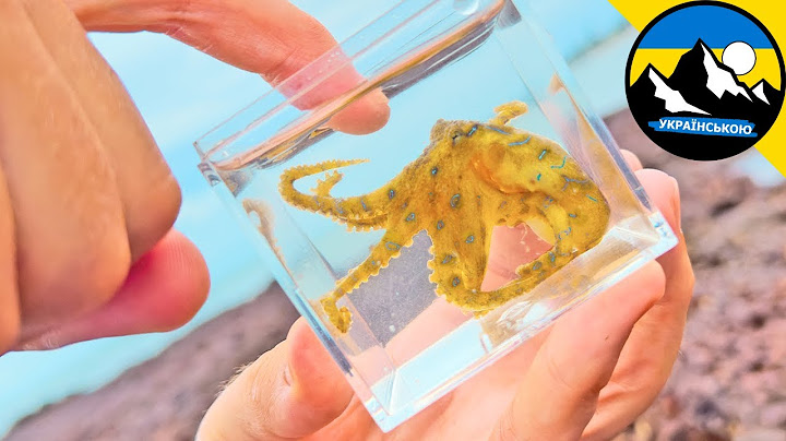 Найбільш отруйна істота в світі 🐙 Смертельний укус!? Синьокільцевий восьминіг | Brave Wilderness