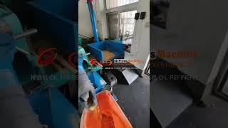 Guangxin Soybean Oil Press YZYX130GX-9 | 300Kg/Hour Screw Oil Extraction Machine Soya Bean Oil Mill