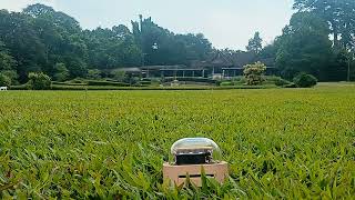 Adorn N20 @ Alchemelic Robotic Resonance 260210 3