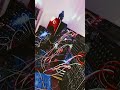 30 minute patch challenge: from blank board to post. #modularsynth #electronicmusic #eurorack