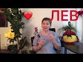 🔴 Сила по имени - ЛЕВ 🔴  Сатурн как нужный друг и помощник 🔴 Любовь вокруг и везде