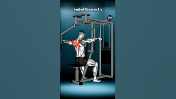 Maximize your Reverse Flyes📌 #shorts #viral #trending #back