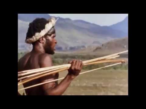 Video: Gyvenimas Papua Naujojoje Gvinėjoje - „Matador“tinklas