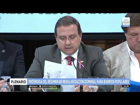 SDOR. GUILLERMO SNOPEK - PLENARIO 19-10-22