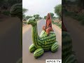 Grandma S Watermelon Camel Grandma S Watermelon Camel