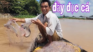Bầy Cá Bự Chạy Giông Bão Dính Lưới Gỡ Không Kịp # SĂN BẮT ĐỒNG THÁP #