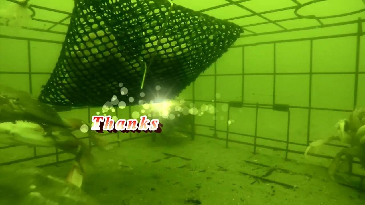 GoPro on a Crab Pot YouTube