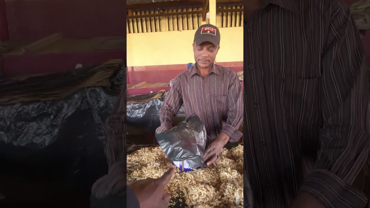 Comida de RICO no Brasil é comida de pobre em Moçambique