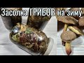 Засолка ГРИБОВ на зиму простой и проверенный рецепт!