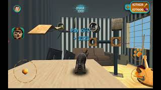 Cat simulator part 12 House Mainecoon