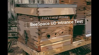 Bees Using UD Intrances from BeeSpaceX